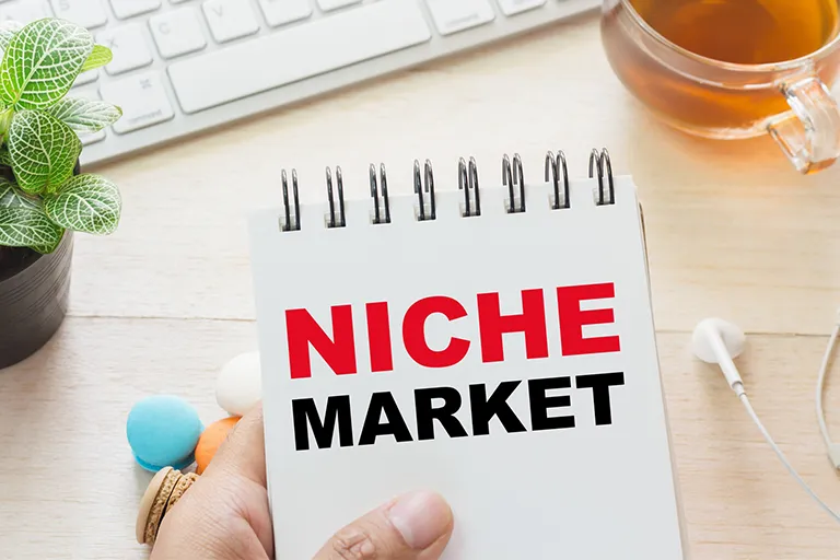 Review of niche marketing and its features